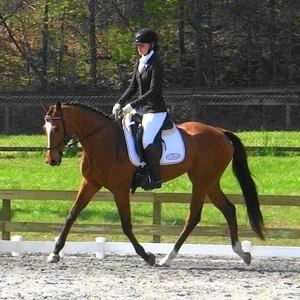 Meet your Posher, Sarah beth