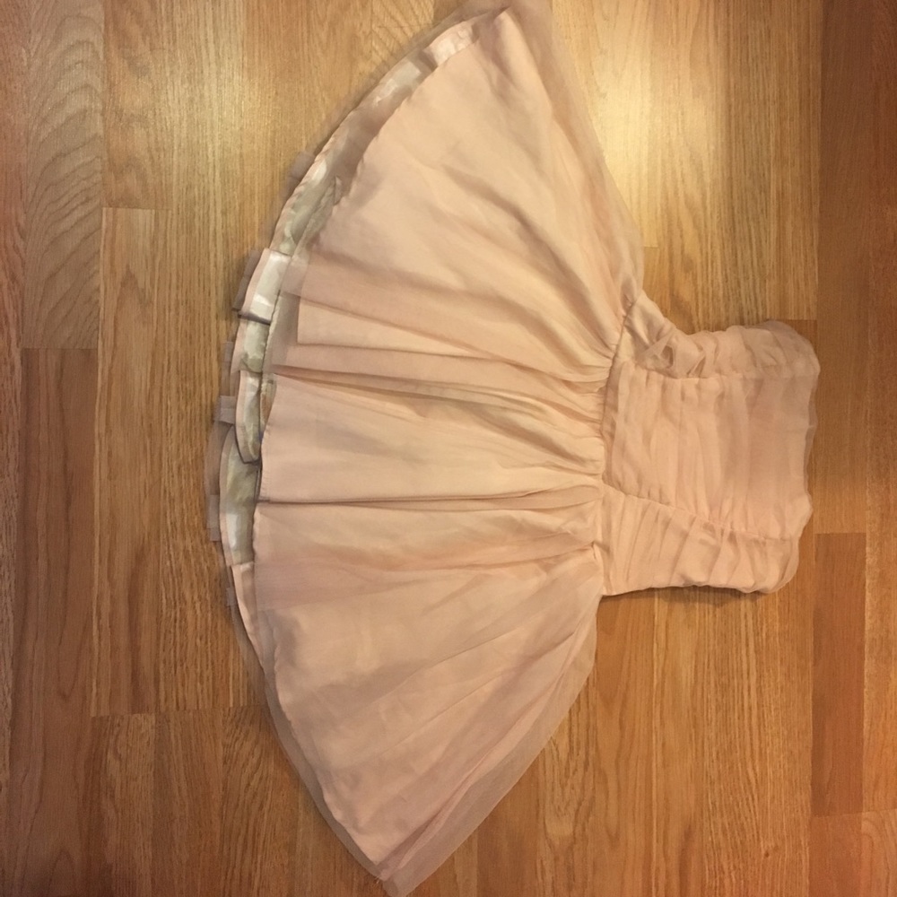 Ballerina Inspired Dress