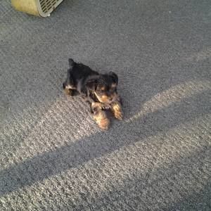 Meet your Posher, Merilyn