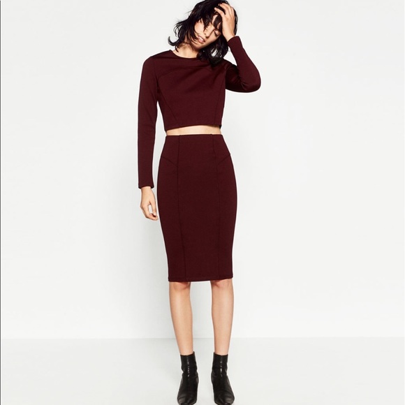 Zara Dresses & Skirts - Zara skirt