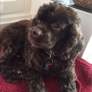 Meet your Posher, Mary