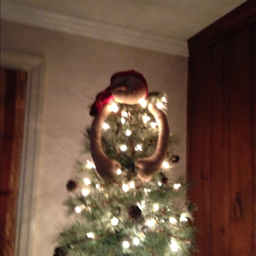 Meet your Posher, Pattianne