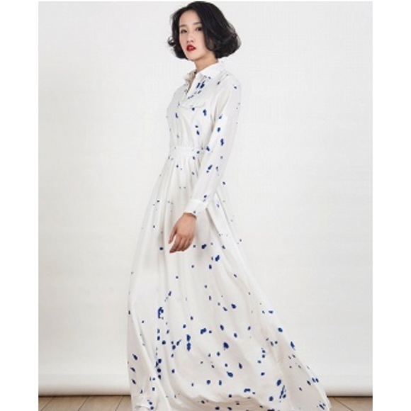 CHOISE Dresses & Skirts - Gorgeous long sleeve maxi dress