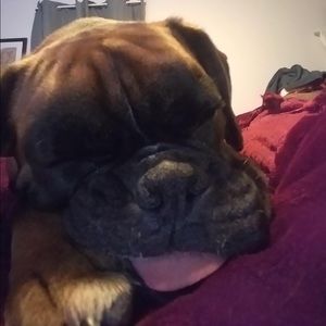 Meet your Posher, Tracy