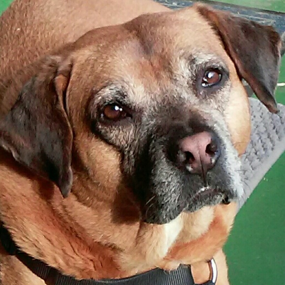 Meet your Posher, Julie - Picture 3 of 6