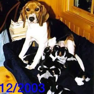 Meet your Posher, Jean