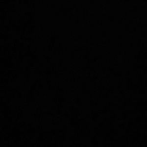 Meet your Posher, Delia