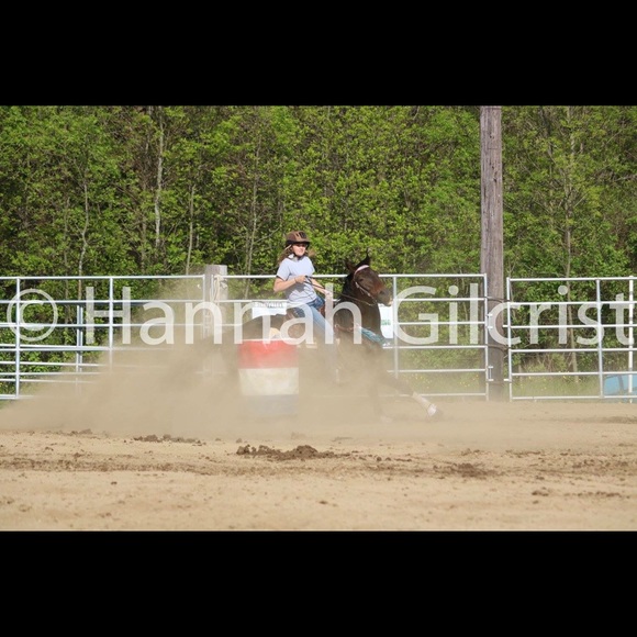 Meet your Posher, Morgan - Picture 1 of 1