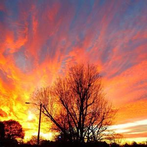 Meet your Posher, Rick