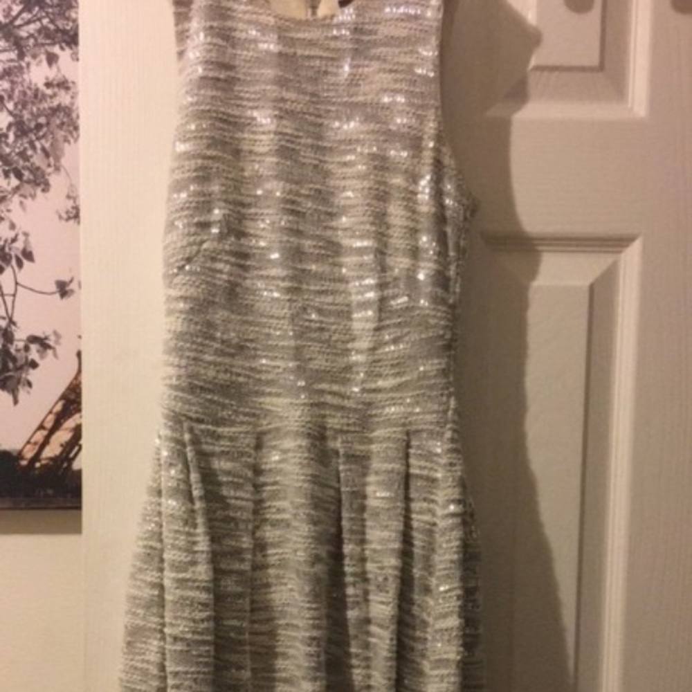 Sparkling Dress