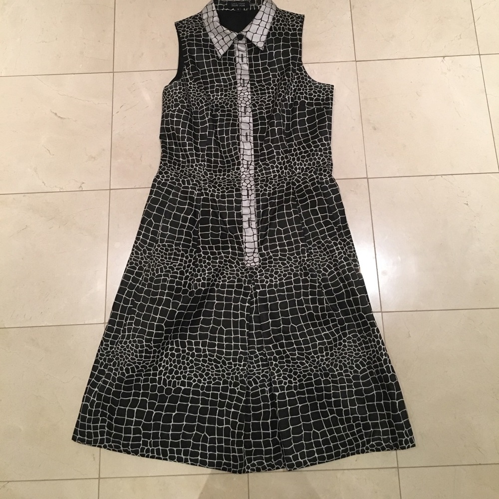 Teri Jon A-line dress