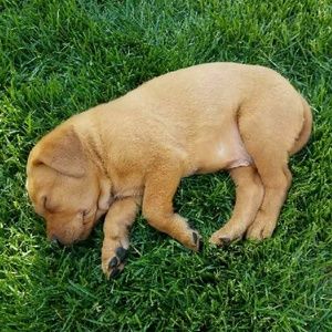 Meet your Posher, Heidi