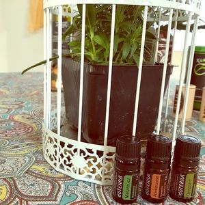 Doterra essential oils