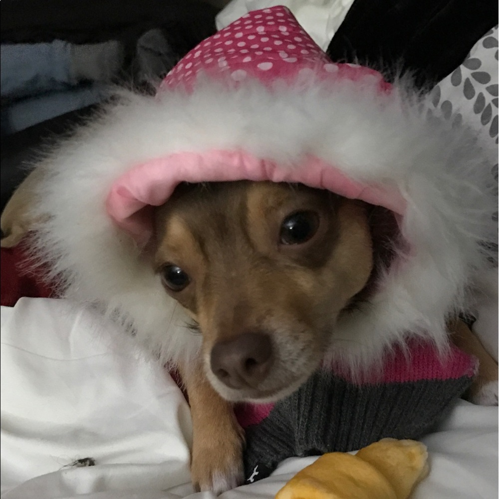 Meet your Posher, Arely