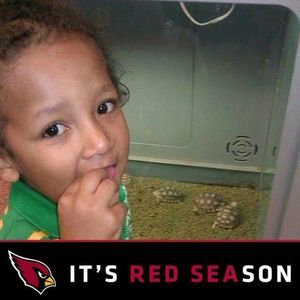 Meet your Posher, Dawn