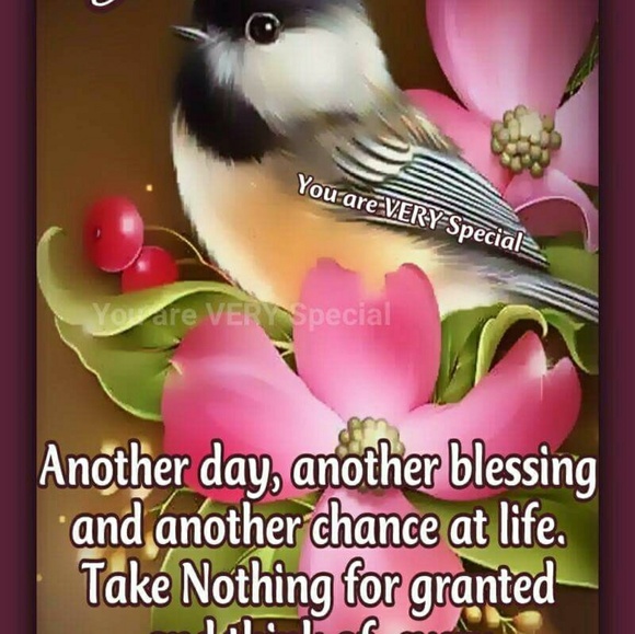 Meet your Posher, Ricardo - Picture 1 of 1