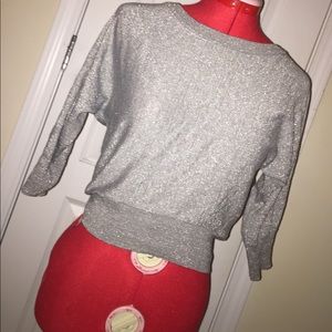 Silver Quarter Sleeve Sweater