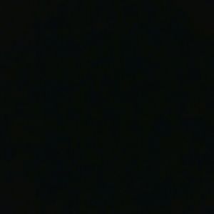 Meet your Posher, Rowan