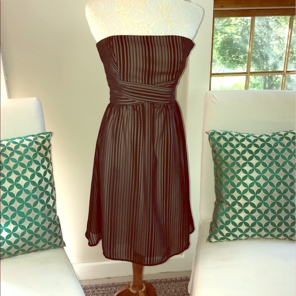 WHBM Sheer pinstriped cocktail dress. EUC. Size 0