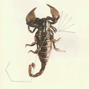 Meet your Posher, Elva