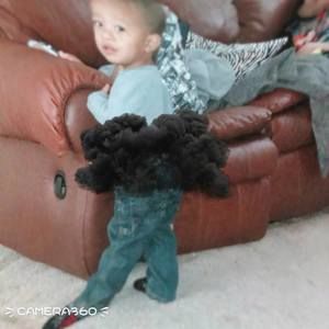 Meet your Posher, Billyed