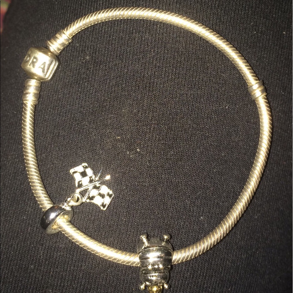 Authentic Pandora Bracelet with Charms