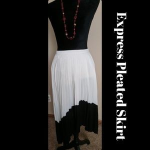 Express Pleated Asymmetrical Skirt