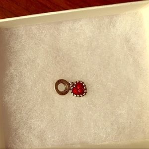 Pandora Charm