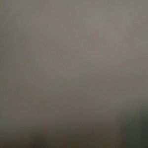 Meet your Posher, Evina