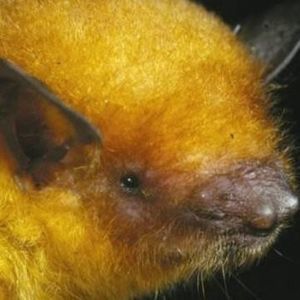 Meet your Posher, Mae