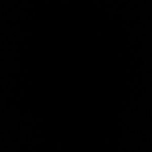 Meet your Posher, Duke