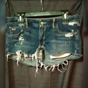 HOLLISTER JEAN CUTOFFS