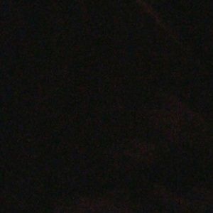 Meet your Posher, Holly