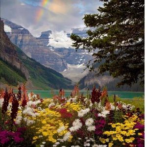 Meet your Posher, Chimane