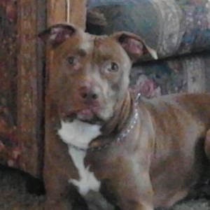 Meet your Posher, Robin