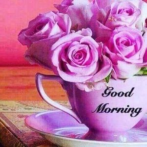 Meet your Posher, Humayun