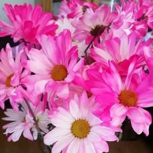 Meet your Posher, Ami