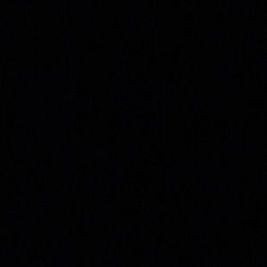 Meet your Posher, Dickie