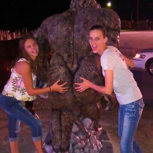 Meet your Posher, Robin