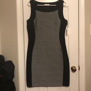 Black & Grey Calvin Klein NWT Business Dress
