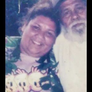 Meet your Posher, Halaki