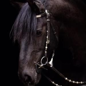 Meet your Posher, Sony