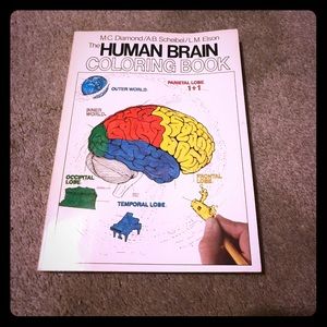 The human brain coloring book