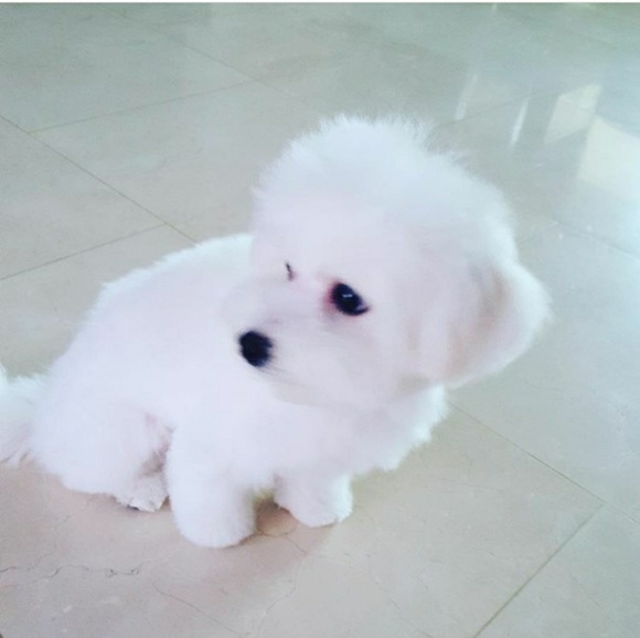 Meet your Posher, Lauren - Picture 1 of 1