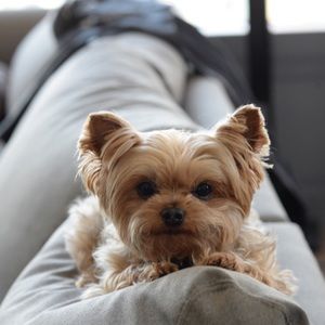 Meet your Posher, Meg