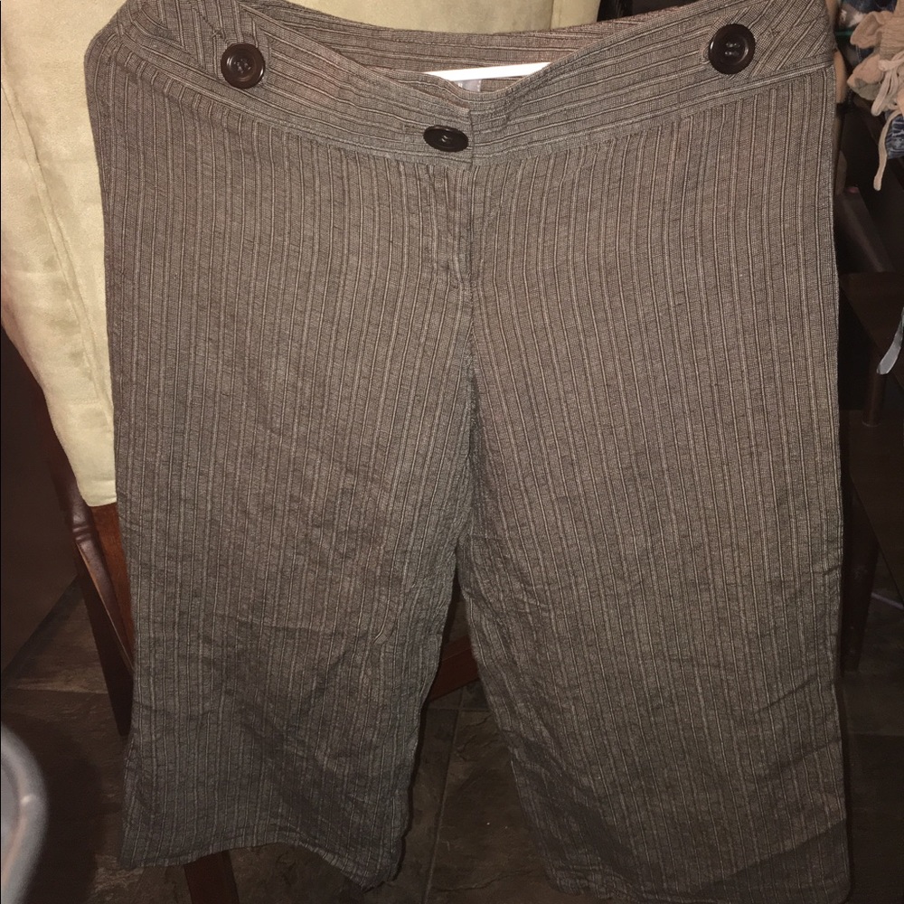 Ann Taylor Capris