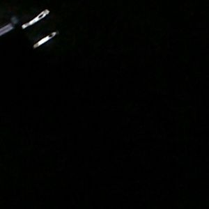 Meet your Posher, George