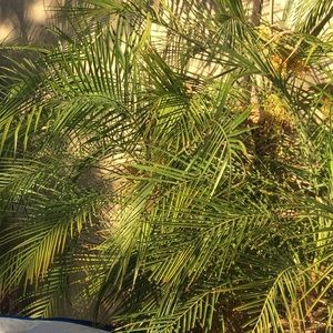 Meet your Posher, Lara