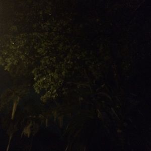 Meet your Posher, Janell