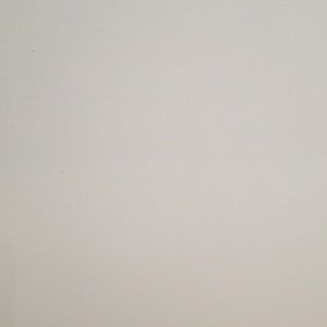 Meet your Posher, Lashani